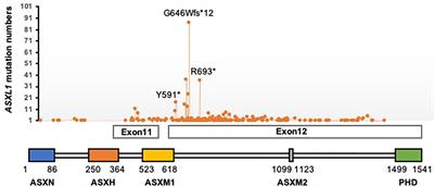 The Functions and Mechanisms of PR-DUB in Malignancy